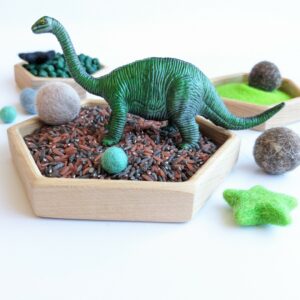 Little Ones: Learn and play sensory base bundles: dinosaur