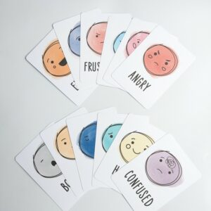 Little Ones: emotions flashcards